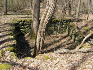 Step into the past and explore cellar holes in Grafton