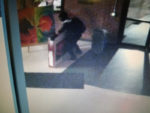 Police continue hunt for thief of GMUHS class gift; donations, reward offered