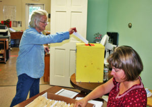 Anne Brown casts her ballot as Michelle Dolloph continues to check voter rolls.