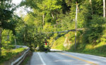 Fallen tree on power lines shuts down Route 11