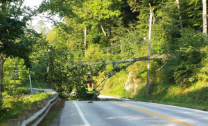 Chester firefighters responded to Route 11 early on Sunday morning for a tree that had fallen onto power lines and blocked the road. Photo by Shawn Cunningham