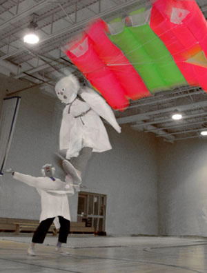 Learn about the theory of flight