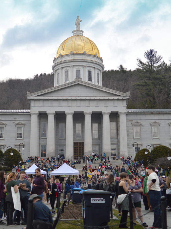 Students from GMUHS, Cavendish Elementary Rally for The