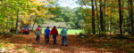 Chester loses bid for Tomasso land, eyes gravel extraction at water tank property
