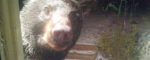 Derry bear was ready for his close-up