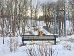 Benches installed, Chester pocket park nears completion