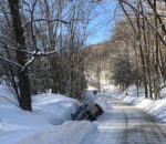Police seek driver of truck wrecked in Cavendish