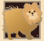 Senior Solutions seeks donations for Foxy Fund