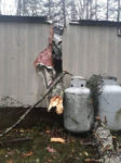Trees destroy Derry family's home during storm
