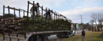 Christmas trees arrive for Chester Fire Dept. sale