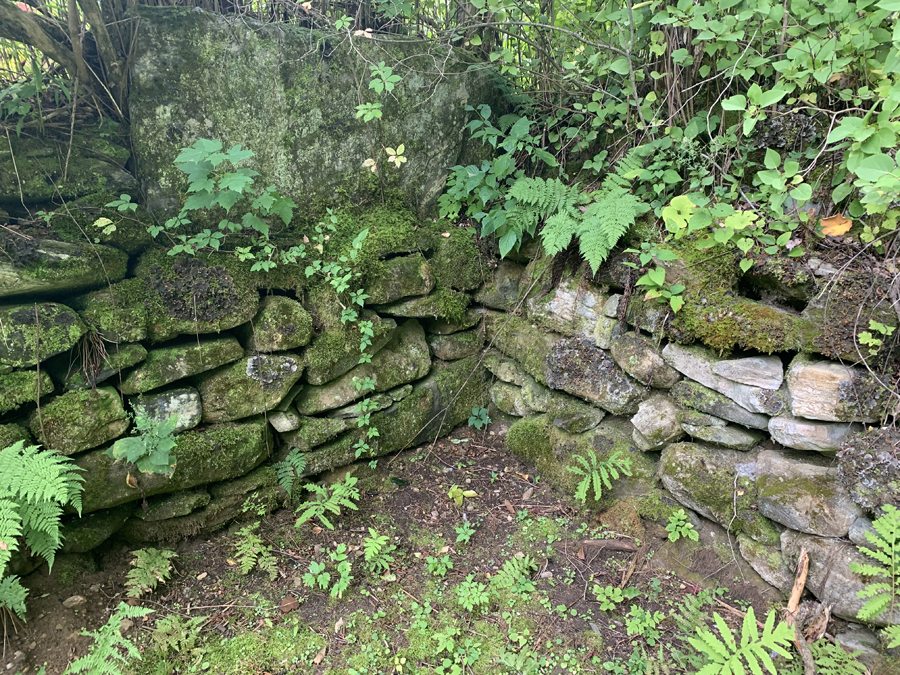 Left in Andover Ancient cellar holes a window to the past and future