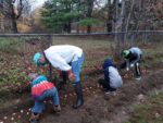 Tri-Mountain Lions invites new members; <br> CAES kids dig the dirt