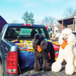 To the editor: Chester-Andover Family Center thanks Chlebogiannises for pet food donation