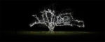 Holiday Lights: Send us your photos!