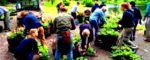 Project Londonderry volunteers establish new non-profit organization