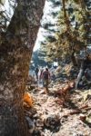 State urges mud-season hikers to be cautious - for themselves and fragile trails