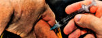 Health Dept. opens walk-in vaxx clinics to <br>out-of-staters working in Vermont
