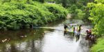 Tri Mountain Lions announces winners of July 3 Duck Race