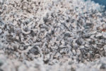 Area Realtors board offers free document shredding