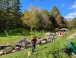 Green Mountain Gardeners, Weston Community Association plant spring bulbs