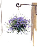 Chester Townscape offers hanging baskets