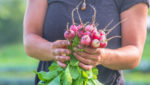 Farmers invited to apply for $5,000 land stewardship, innovation and service award