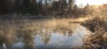 Terrigenous earns award for Grafton landscape design