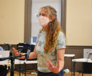 Greenhouse group president Cheryl Joy Lipton explains the plan for installing gardens first and a greenhouse later