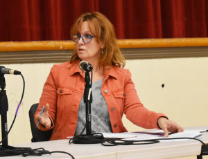 Reisa Alexander was elected vice chair and suggested using the state's application rather than creating a town form