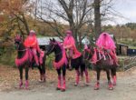 Registration opens for Komen Ride for the Cure