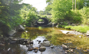 The temporary bridge spanning the Williams River before construction began. <small>Photos by Shawn Cunningham