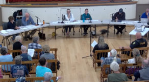 Health officer Amanda Silva, front row aisle right, walks the board through the exhibits supporting the health order.